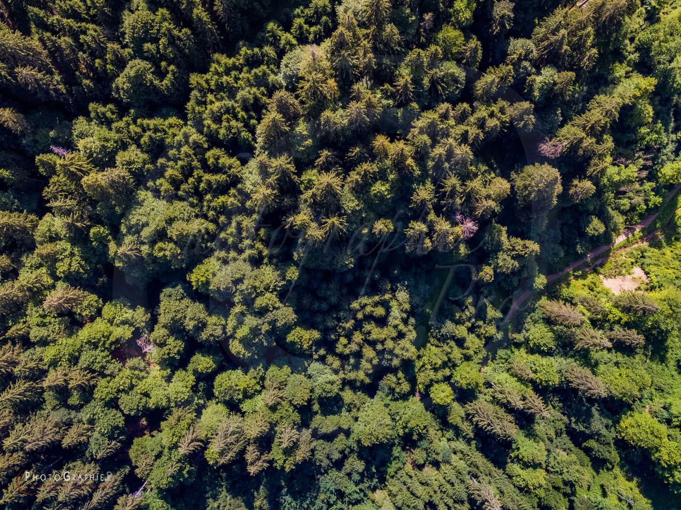 180716-103743_DJI0229 © by A-la-Vie.com