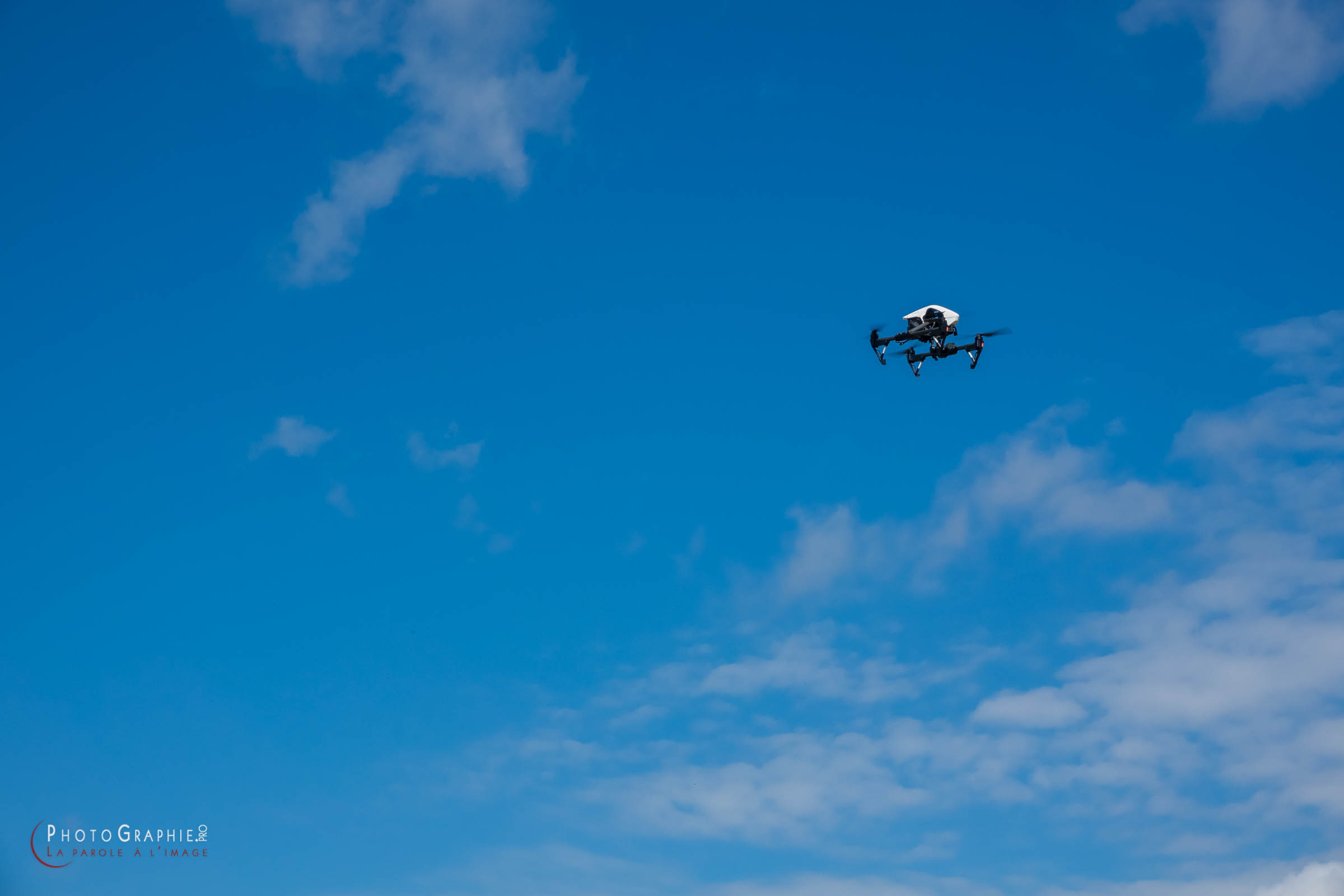 180716-103013_S1089674 © by A-la-Vie.com