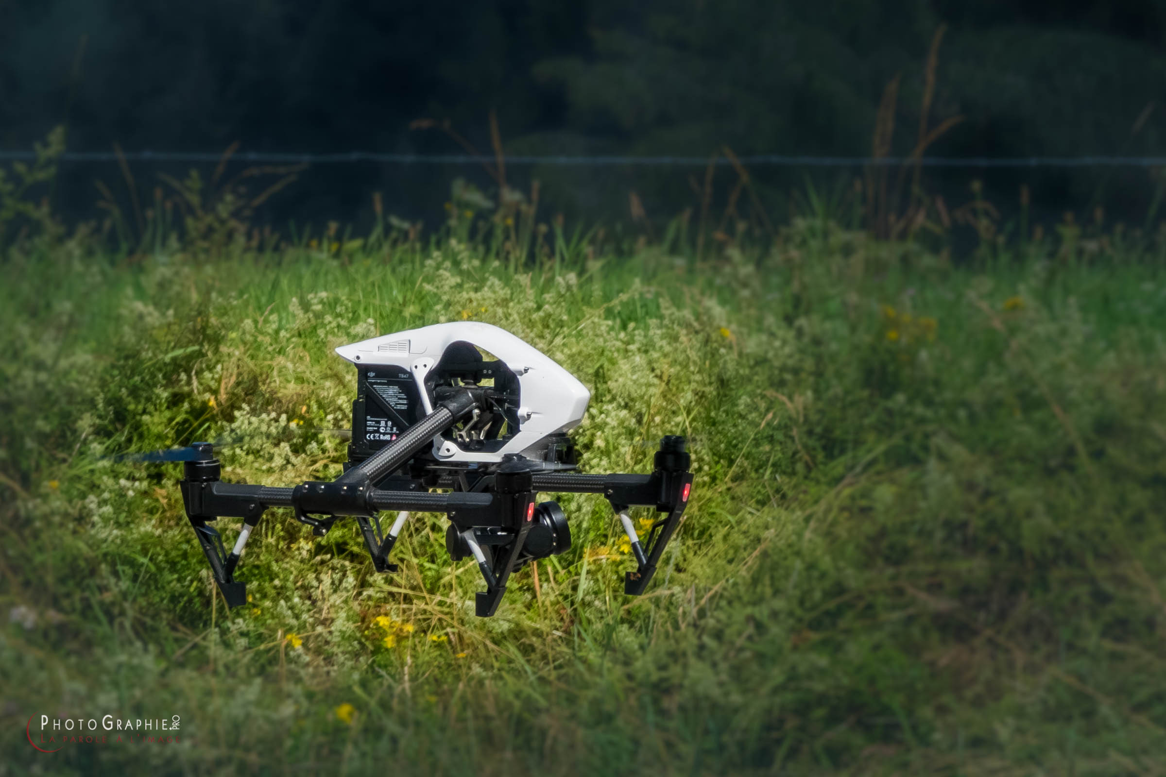 180716-103019_S1089675 © by A-la-Vie.com