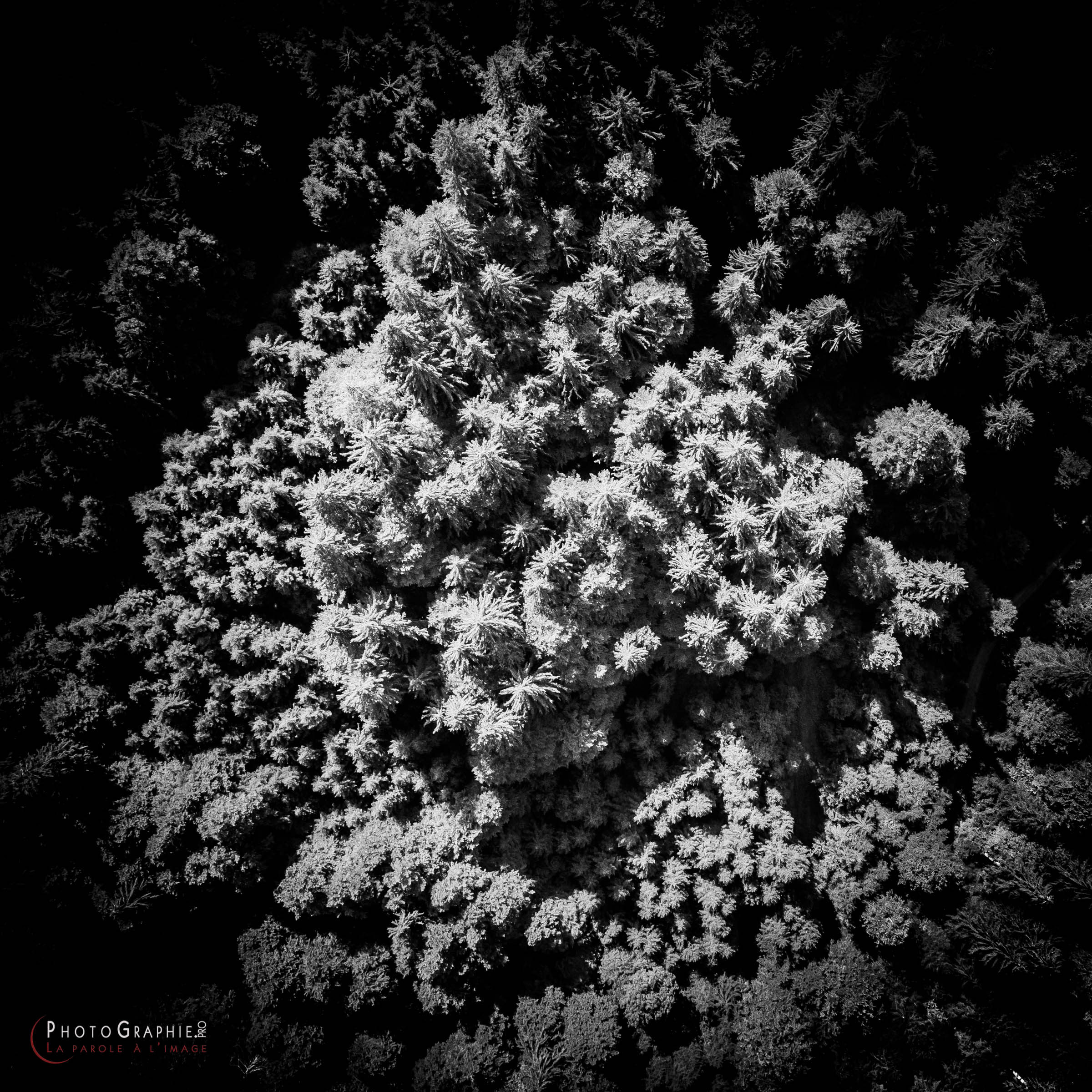 180716-103655_DJI0223 © by A-la-Vie.com