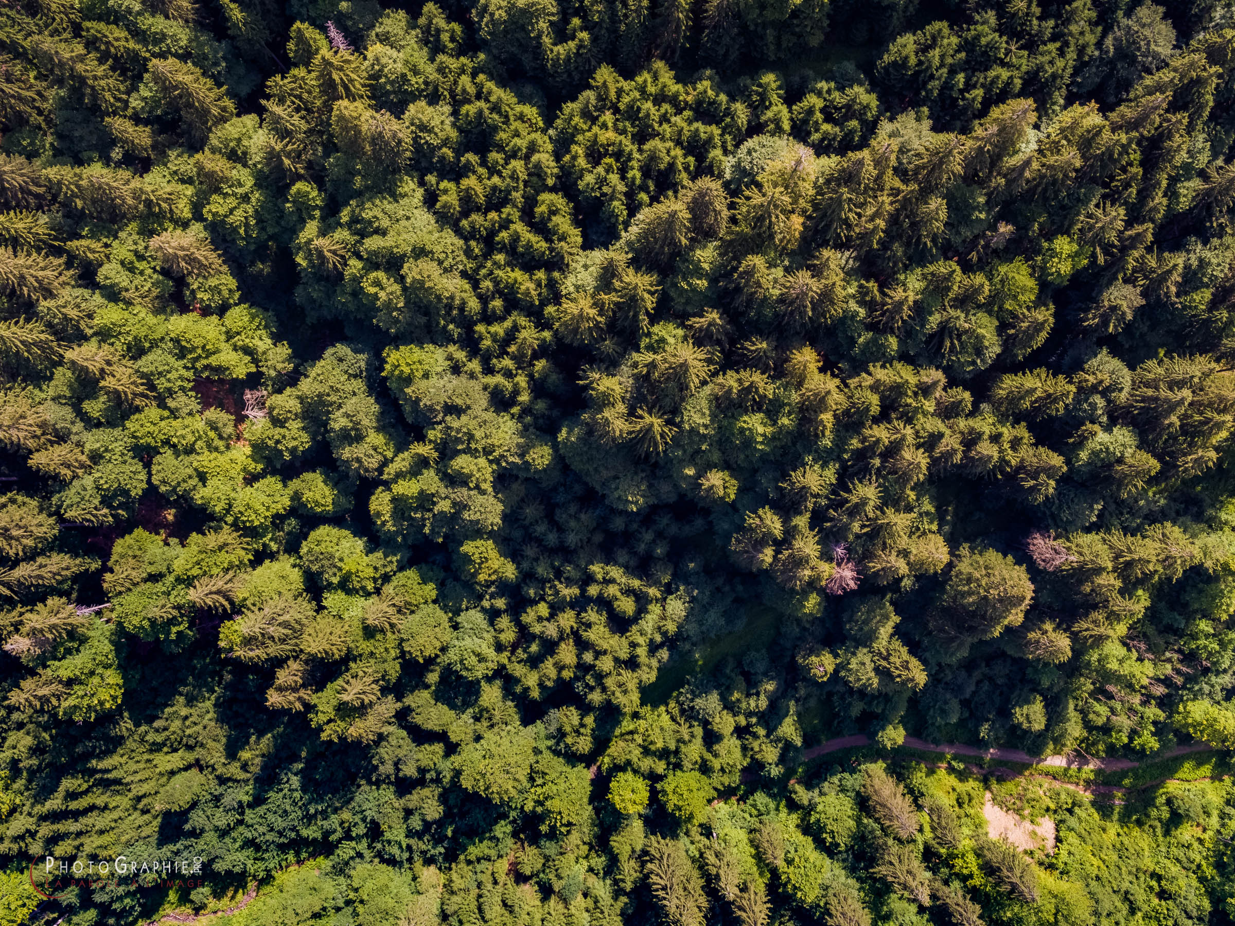 180716-103722_DJI0225 © by A-la-Vie.com