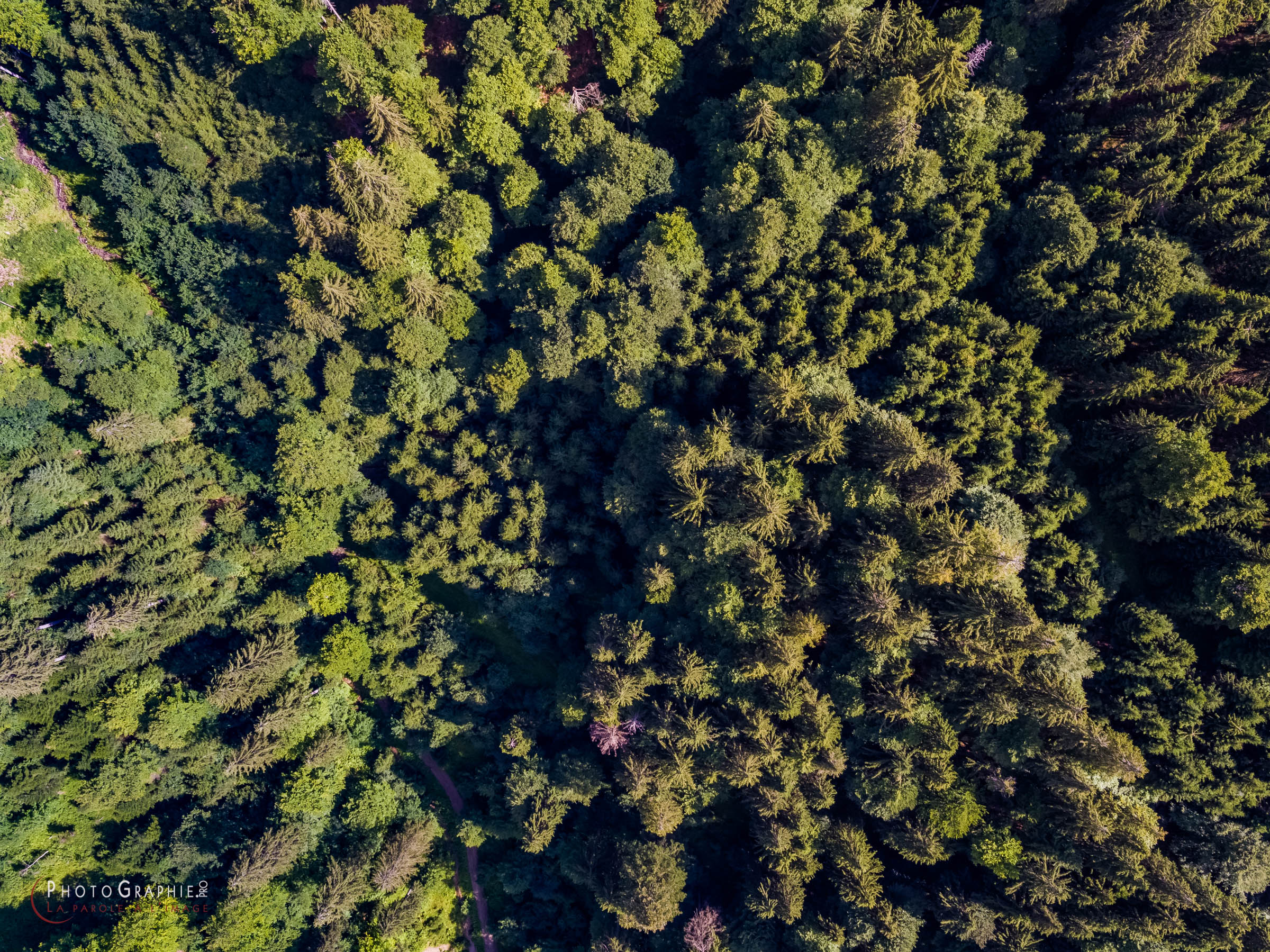 180716-103739_DJI0228 © by A-la-Vie.com