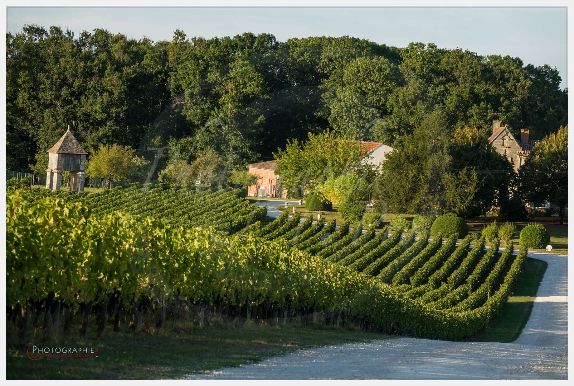 Chateau Grand Corbin-22 © by Photographie.Pro