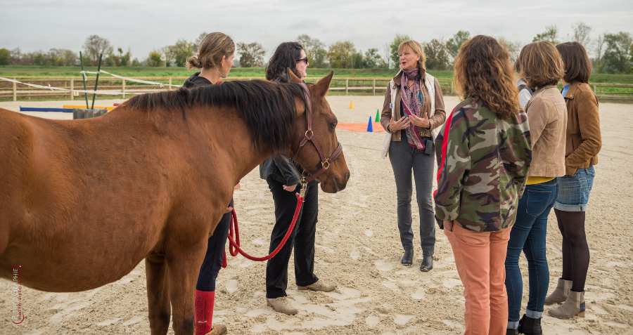 D8e128103 © by A-la-Vie.com