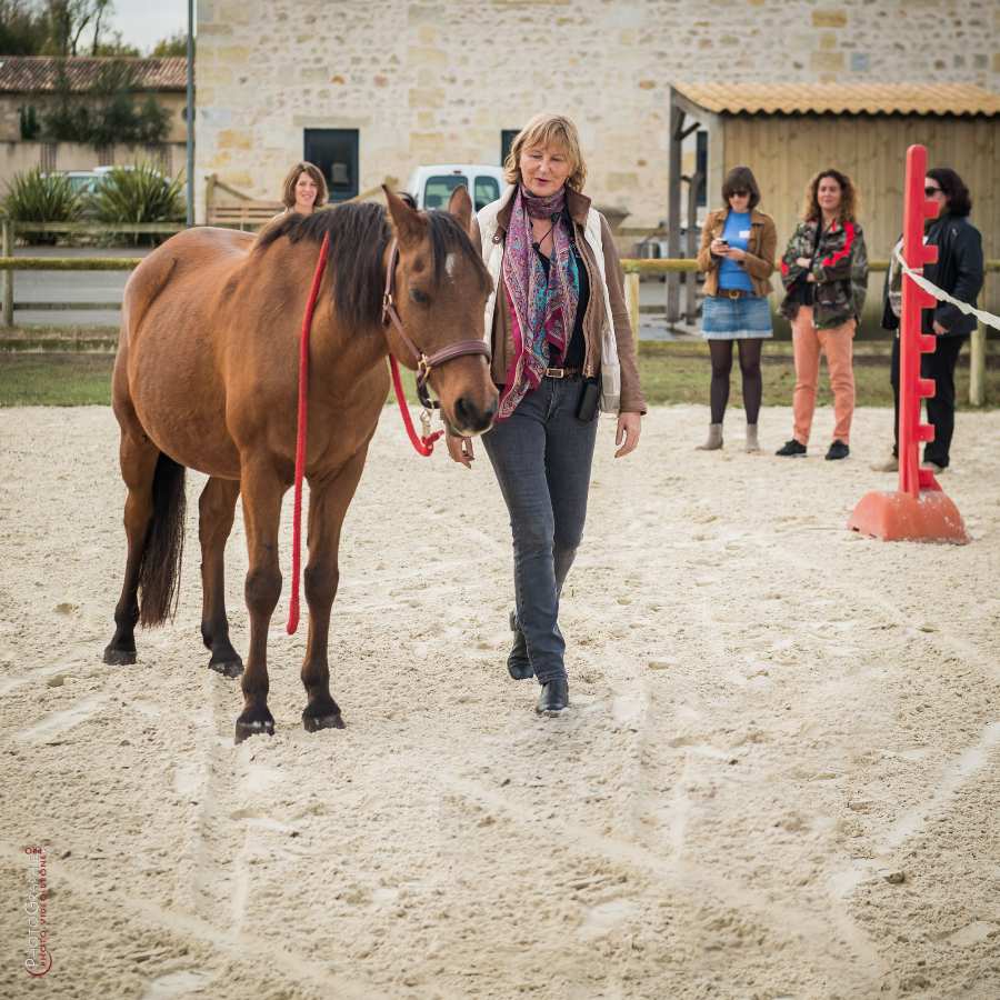 D8e128138 © by A-la-Vie.com