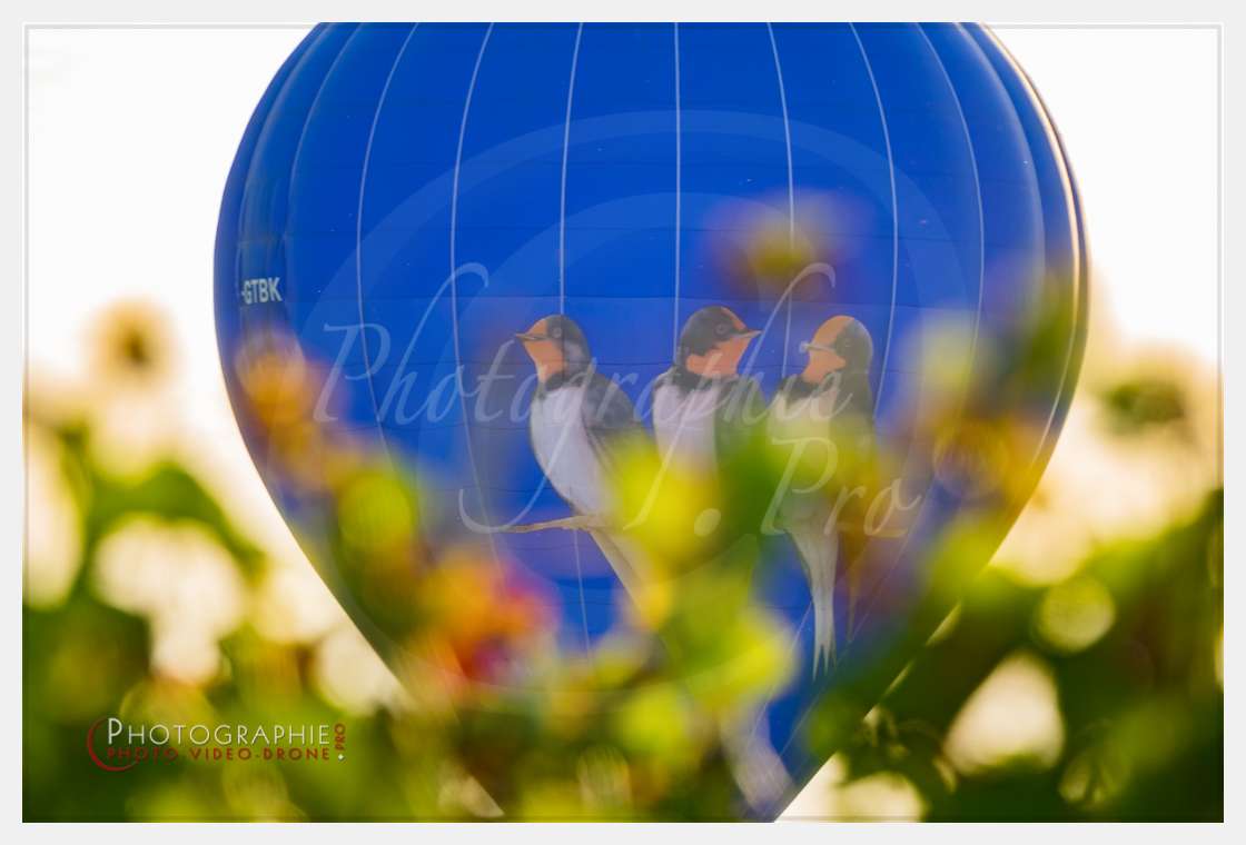 S1055905 © by A-la-Vie.com