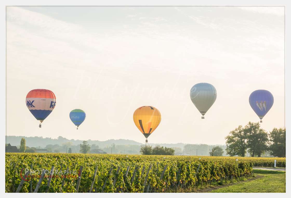 S1055967 © by A-la-Vie.com