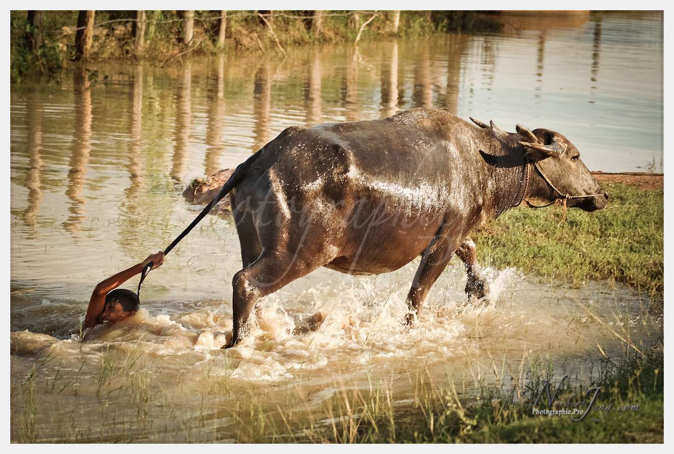 Enfants du MÈkong © by A-la-Vie.com