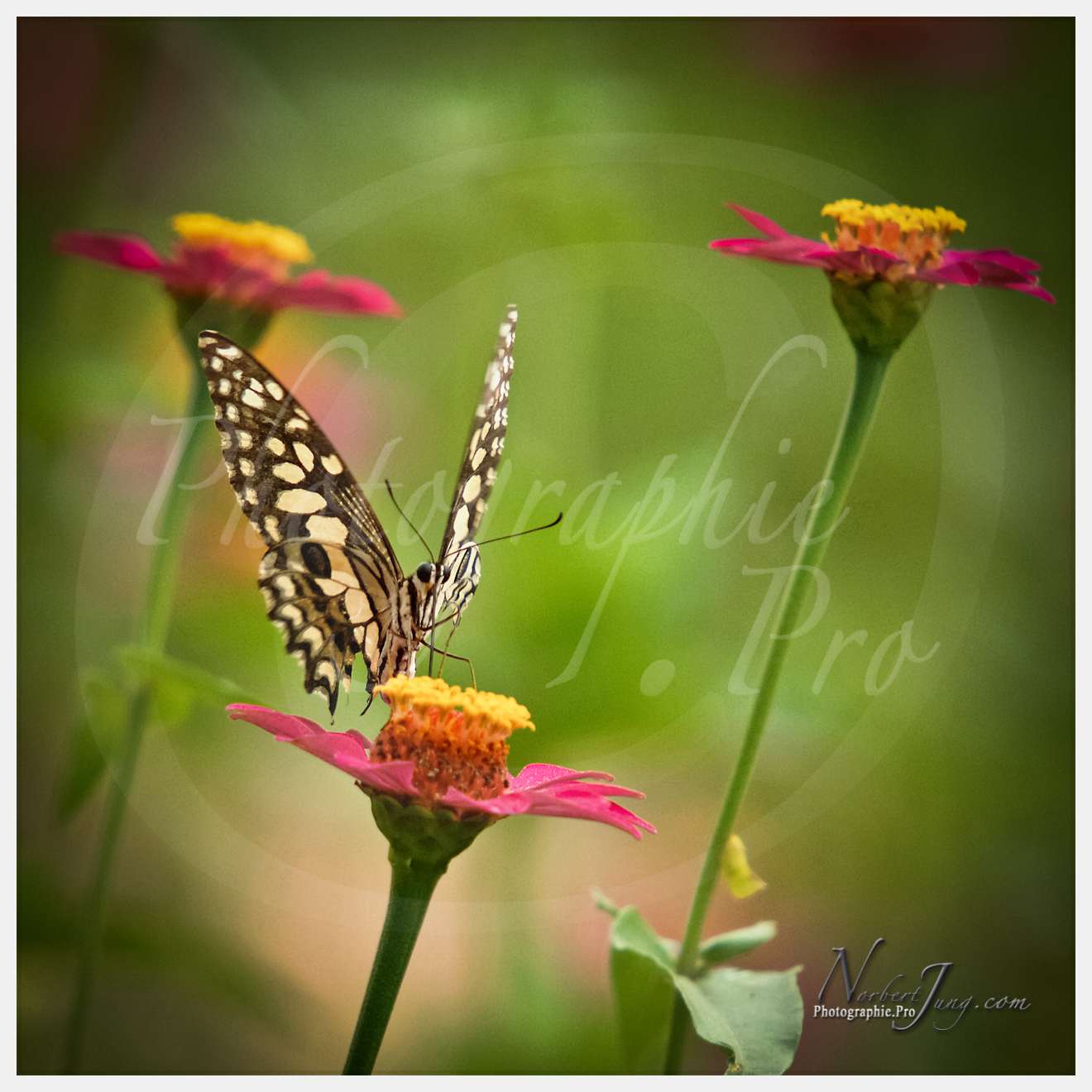 Enfants du MÈkong © by A-la-Vie.com