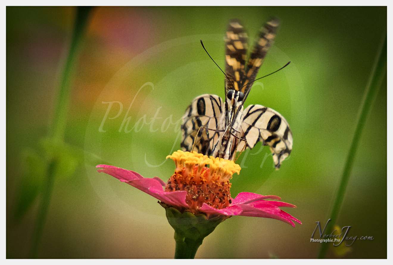 Enfants du MÈkong © by A-la-Vie.com