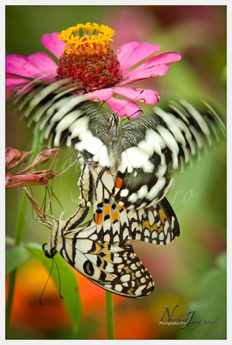 Enfants du MÈkong © by A-la-Vie.com