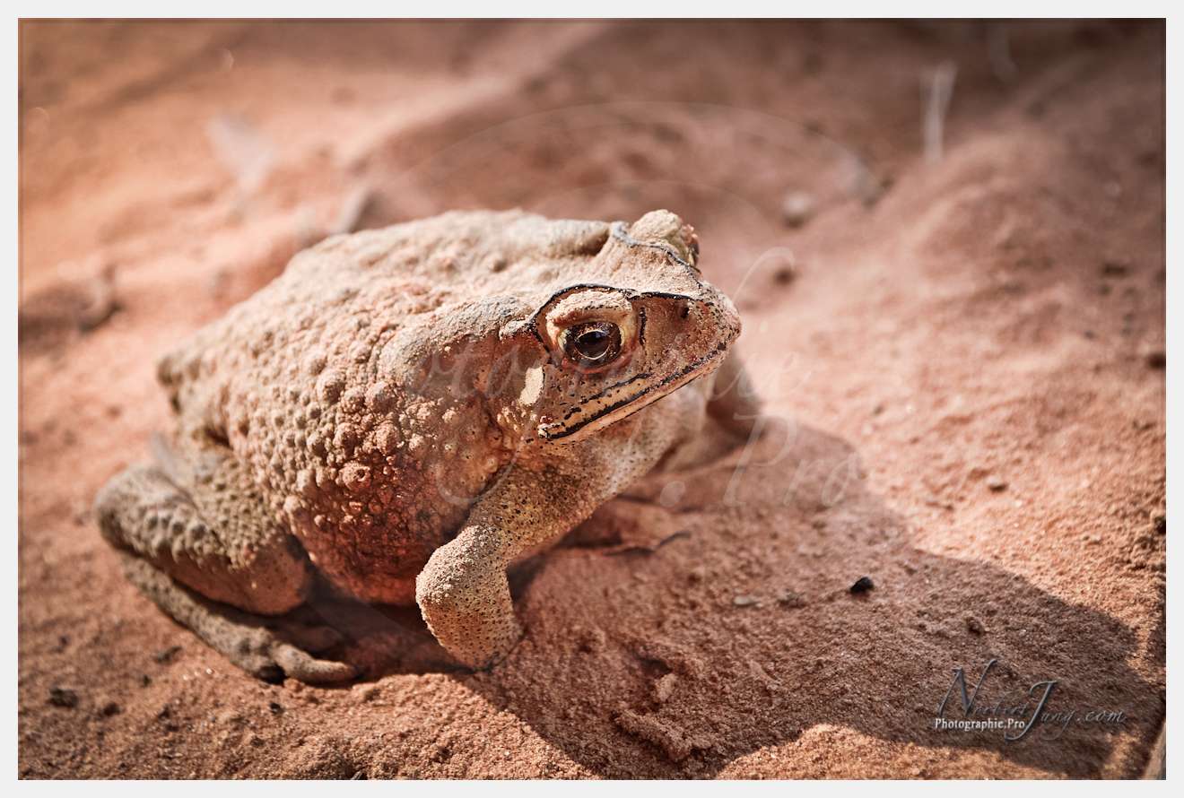 Enfants du MÈkong © by A-la-Vie.com