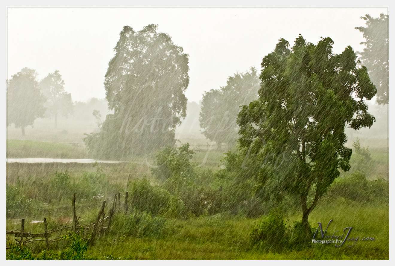 Enfants du MÈkong © by A-la-Vie.com