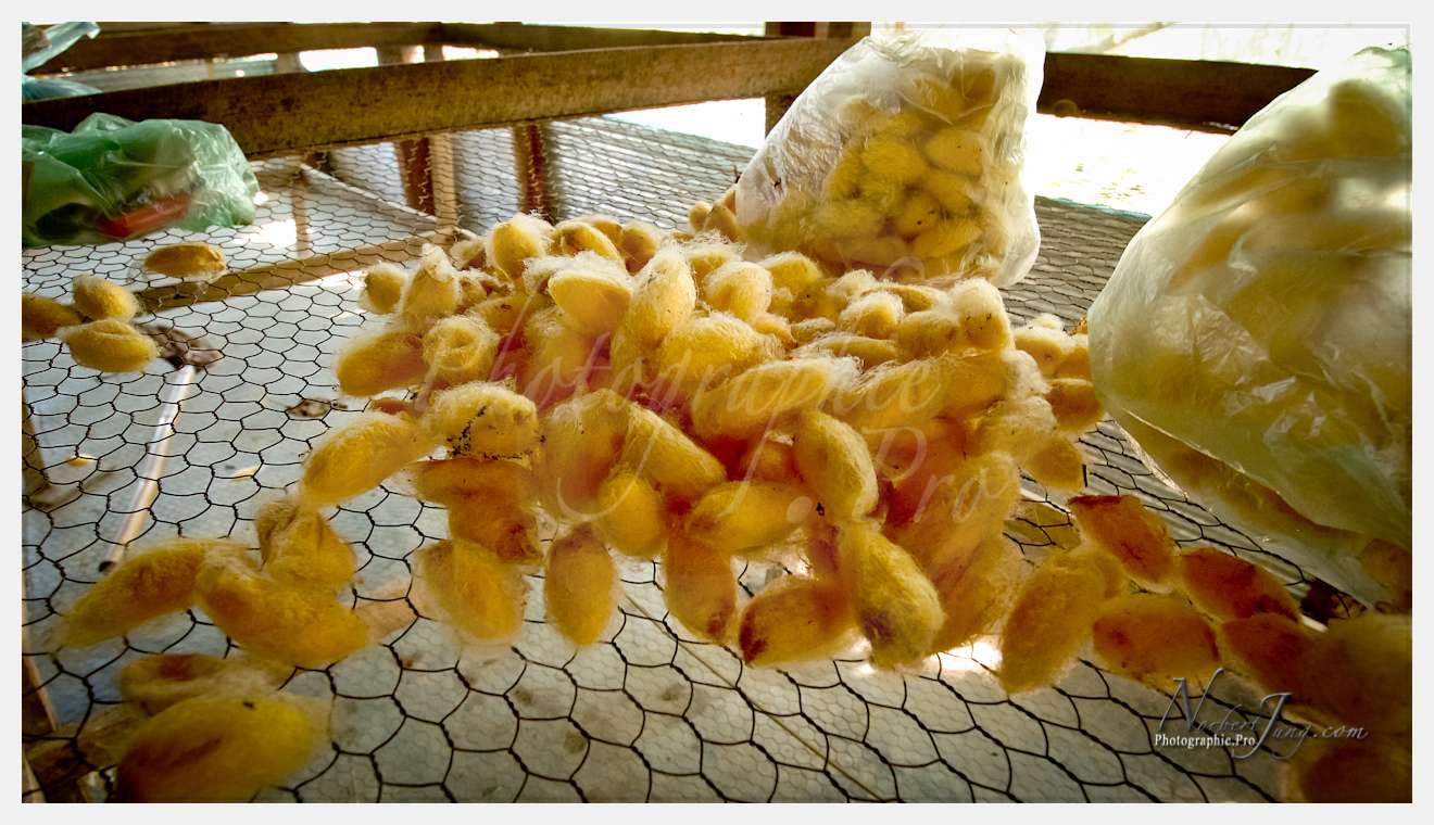 Enfants du MÈkong © by A-la-Vie.com