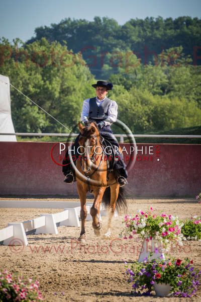 26 093556 S1020166 - © by A-la-Vie.com