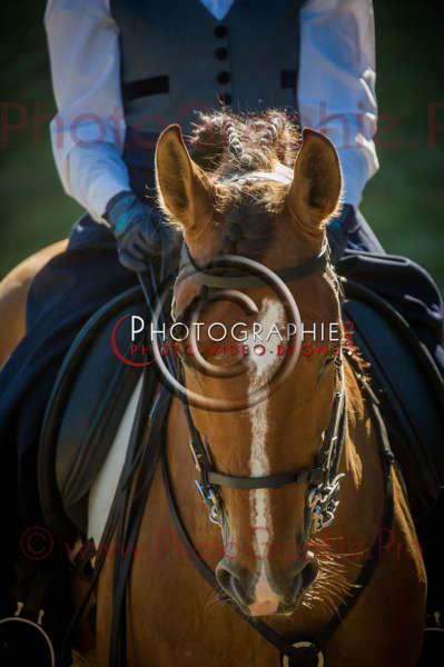 26 093614 D3s139708 - © by A-la-Vie.com