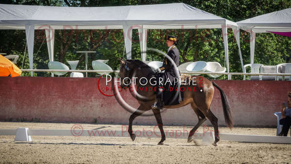 26 100136 S1020501 - © by A-la-Vie.com