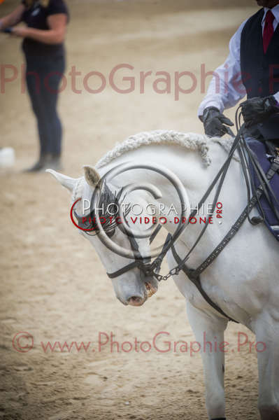 D3s141774 © by A-la-Vie.com