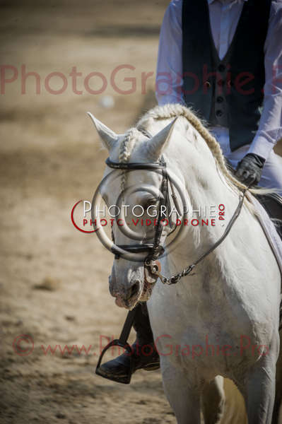 D3s141971 © by A-la-Vie.com