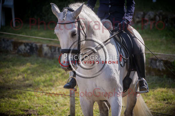 D3s142064 © by A-la-Vie.com