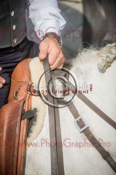 D8E_1045 © by A-la-Vie.com