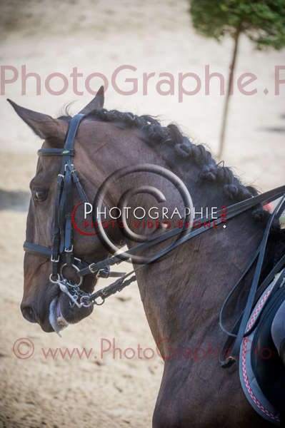 D3s142239 © by A-la-Vie.com