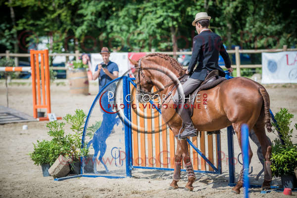 D6016825 © by A-la-Vie.com