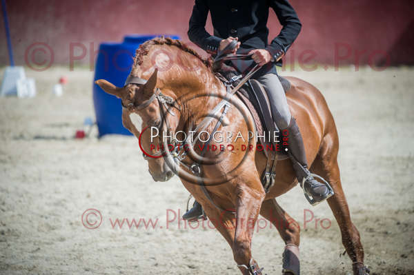 D3s142330 © by A-la-Vie.com