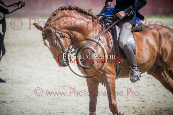 D3s142331 © by A-la-Vie.com