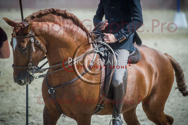 D3s142336 © by A-la-Vie.com