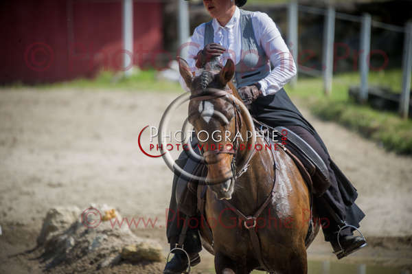 D3s142503 © by A-la-Vie.com