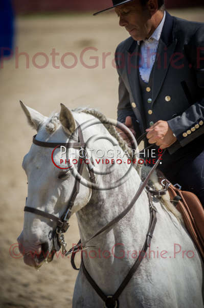 D3s142513 © by A-la-Vie.com