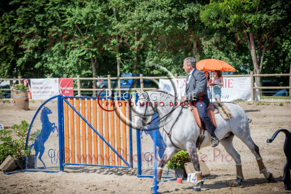 D6017031 © by A-la-Vie.com