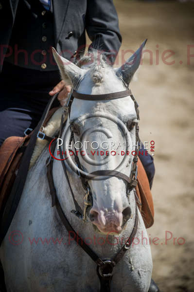 D3s142687 © by A-la-Vie.com