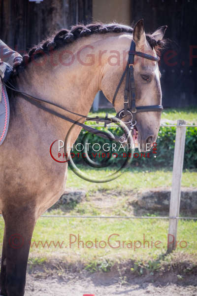 S1025113 © by A-la-Vie.com