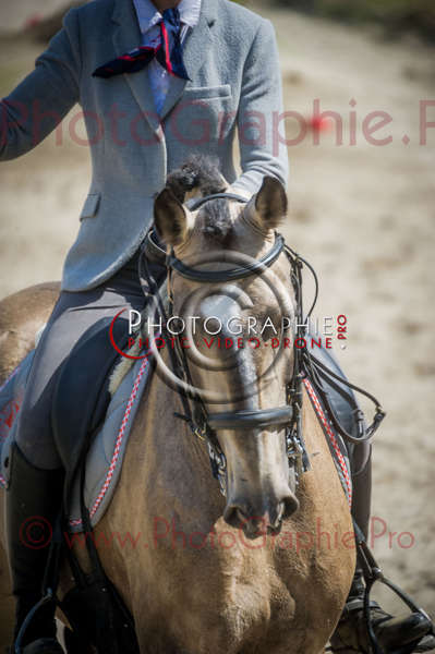 D3s142825 © by A-la-Vie.com