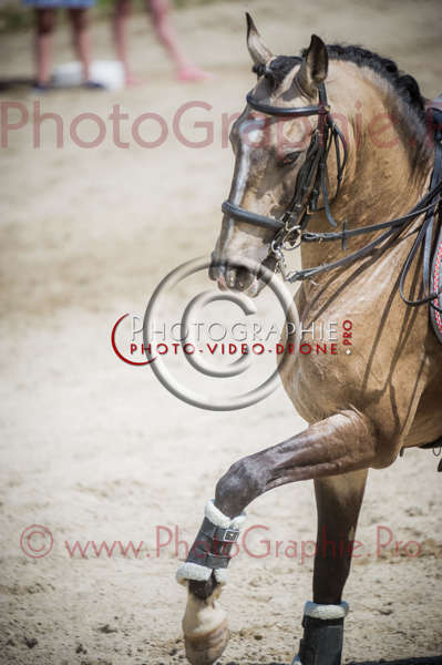 D3s142828 © by A-la-Vie.com