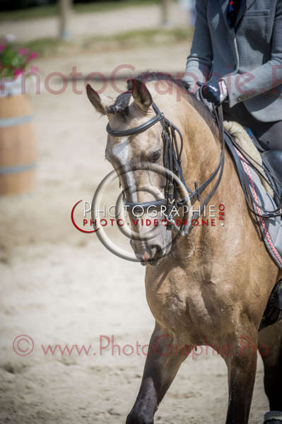 D3s142830 © by A-la-Vie.com