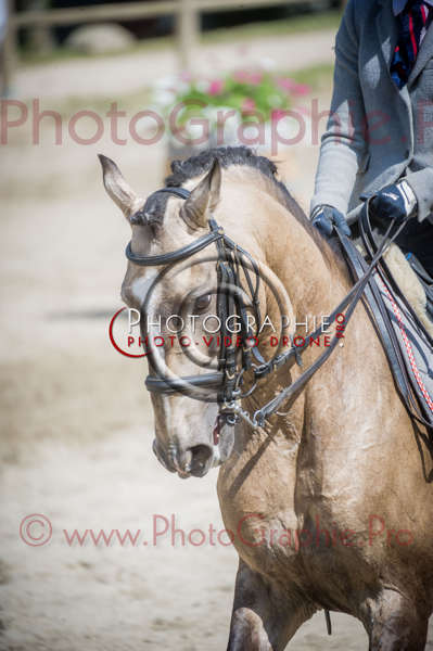 D3s142832 © by A-la-Vie.com