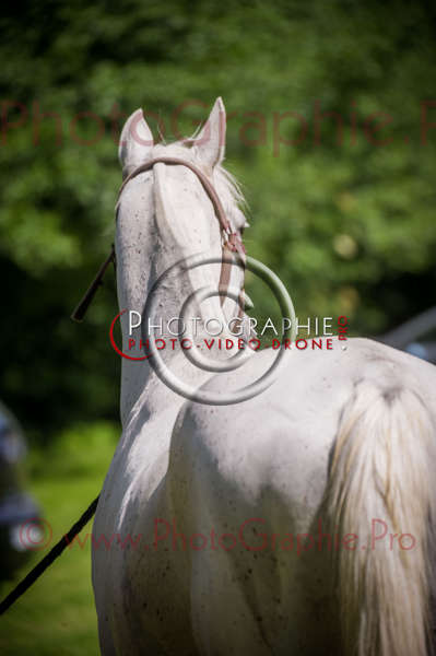 D3s142868 © by A-la-Vie.com