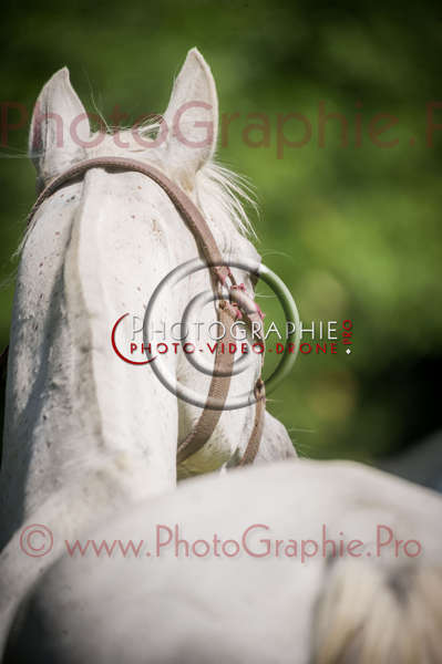 D3s142872 © by A-la-Vie.com