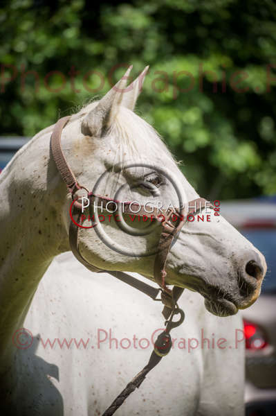 D3s142885 © by A-la-Vie.com