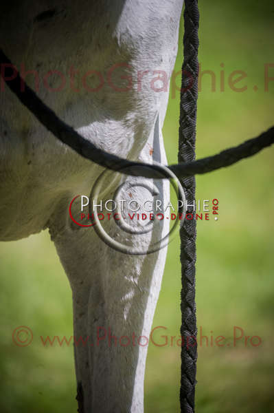 D3s142892 © by A-la-Vie.com