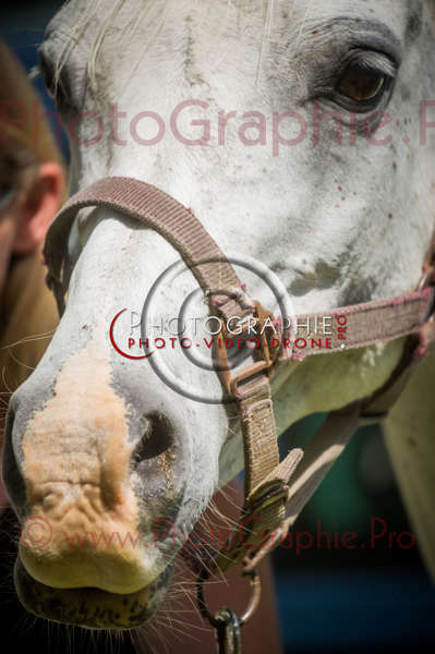 D3s142904 © by A-la-Vie.com