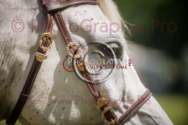 D8E_1093 © by A-la-Vie.com