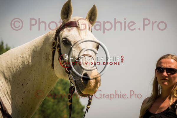 S1025230 © by A-la-Vie.com