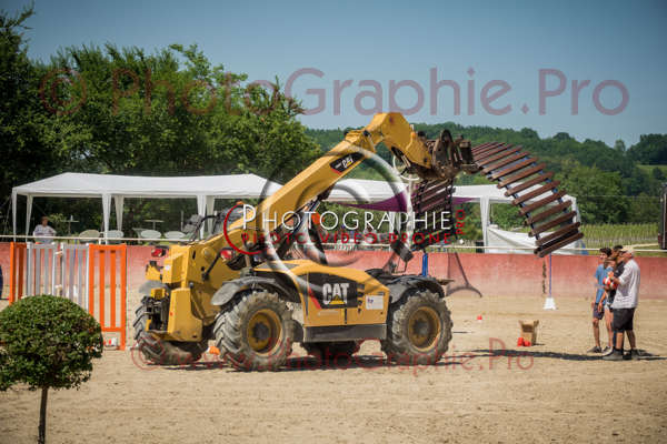 26 160156 S1022771 - © by A-la-Vie.com