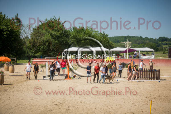 26 165324 S1022784 - © by A-la-Vie.com