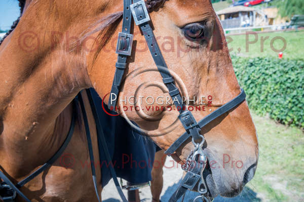 26 171822 D8e120557 - © by A-la-Vie.com