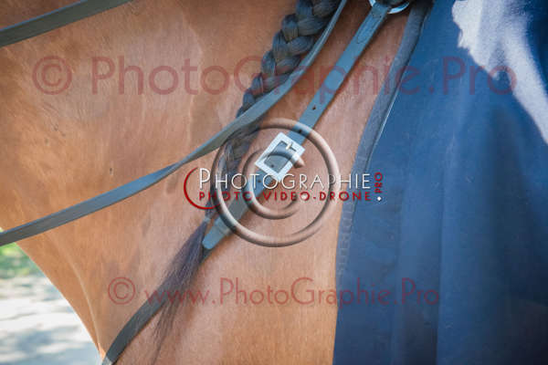 26 171832 D8e120558 - © by A-la-Vie.com